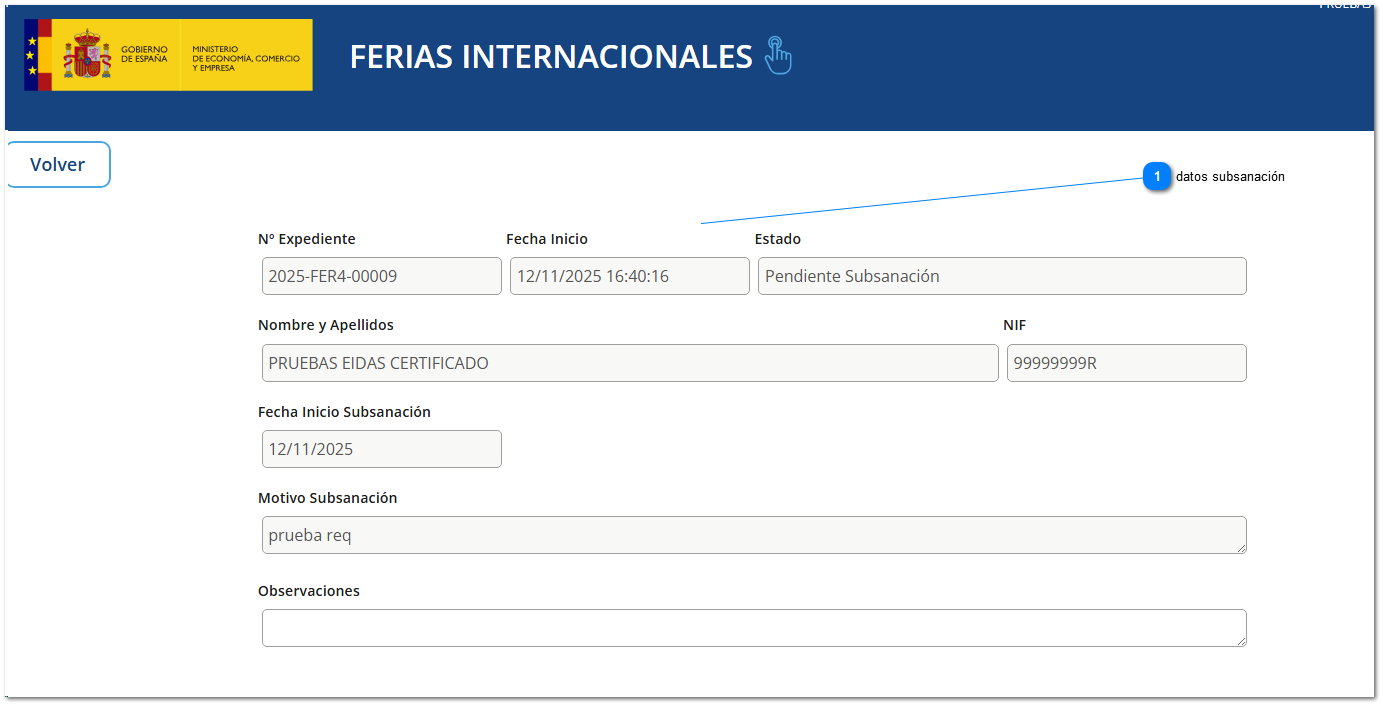 Ferias en subsanación